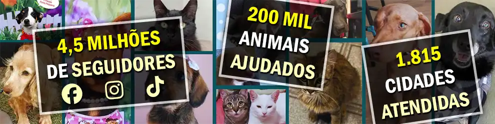 O Adotar é a maior ONG da causa animal do Brasil