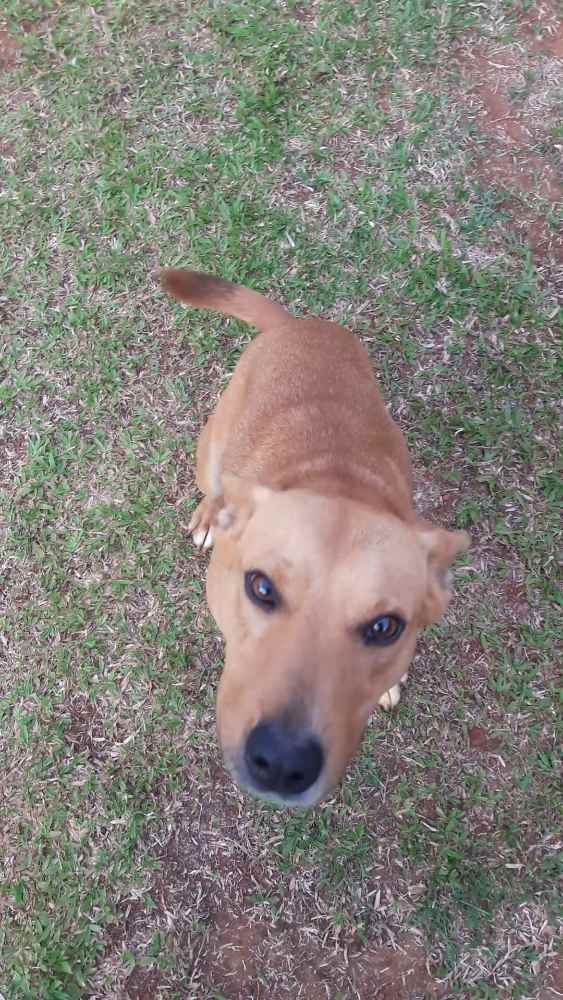 Bob  perdido | foto 3