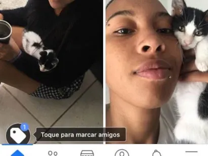 Gato Vira lata Pequeno Abaixo-de-2-meses