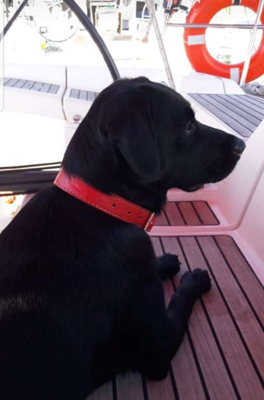 Belinha GRATIFICA  perdida | foto 2