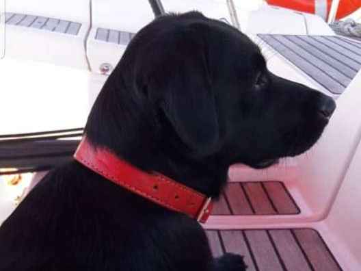 Belinha GRATIFICA  perdida | foto 1