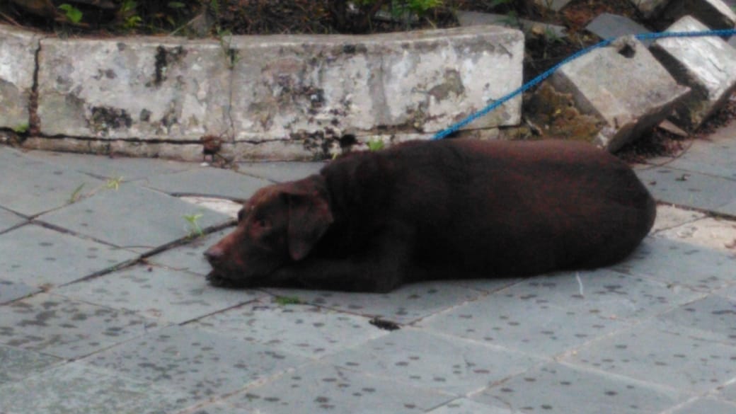 ?.  encontrada | foto 7