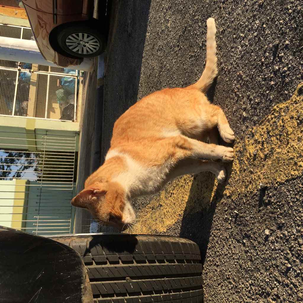 não sei  encontrado | foto 2