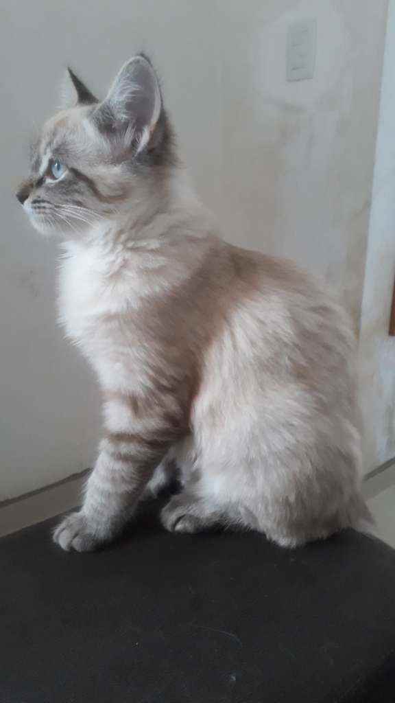 Nina  perdida | foto 5