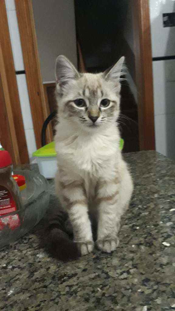 Nina  perdida | foto 7