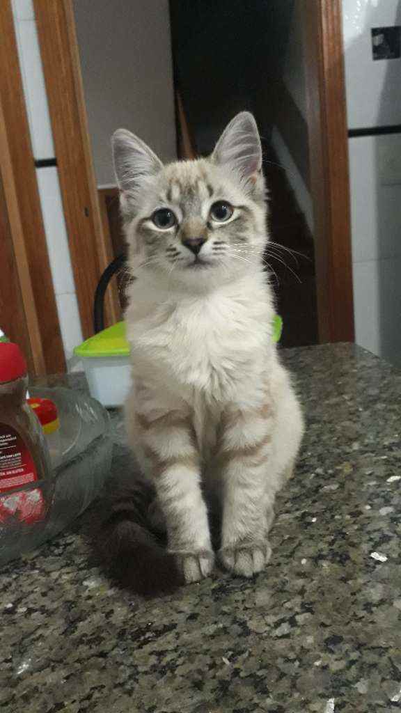 Nina  perdida | foto 8