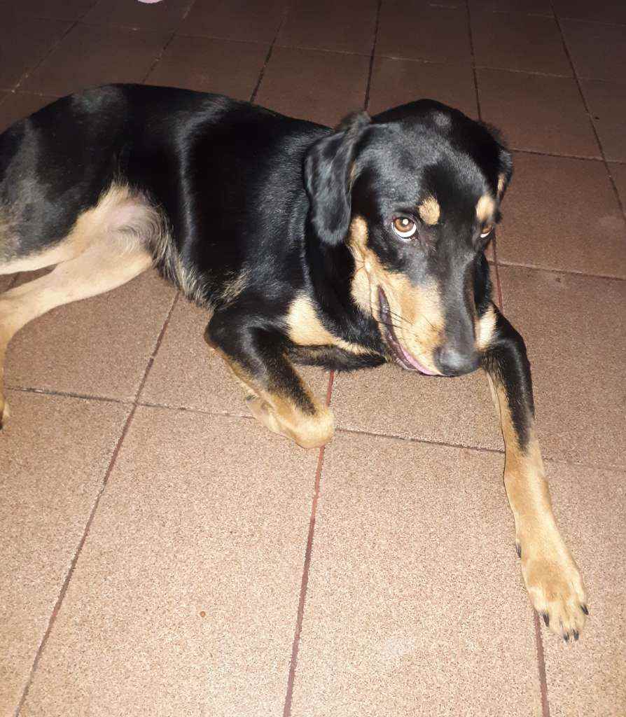 Não sei   encontrada | foto 2