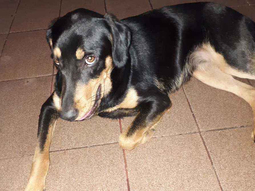 Não sei   encontrada | foto 1