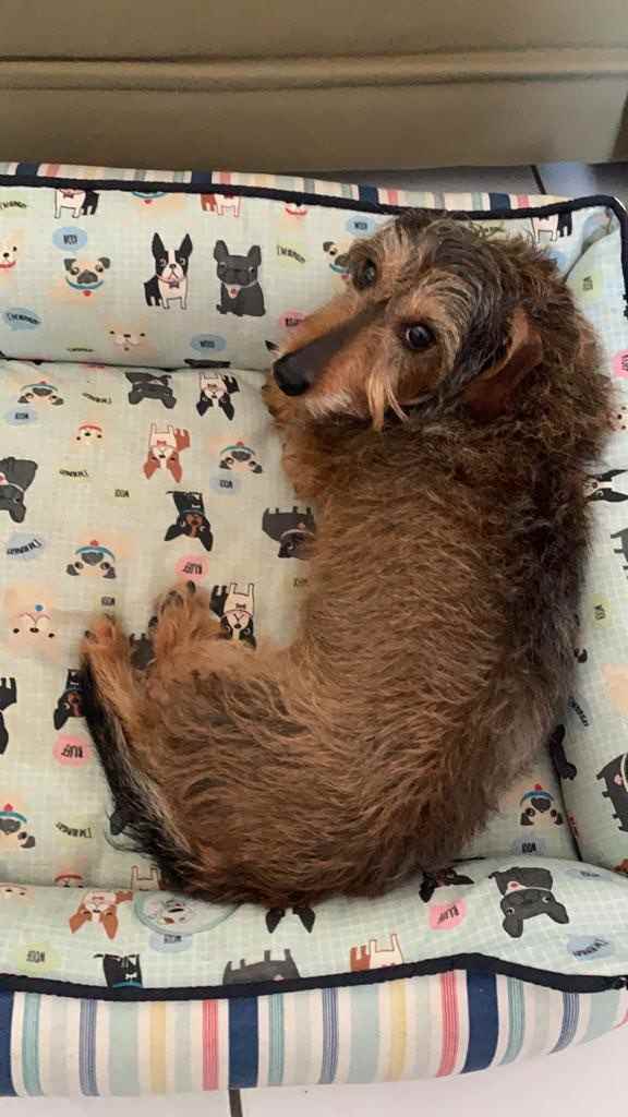 Olivia  perdida | foto 7