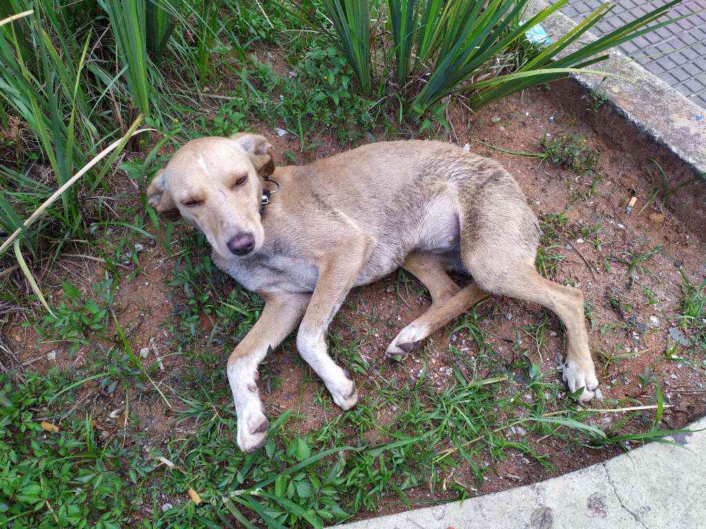 Sem mome  encontrada | foto 3