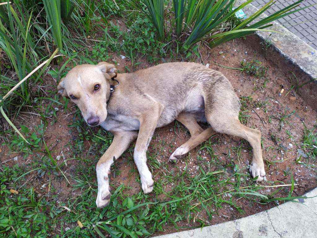 Sem mome  encontrada | foto 4