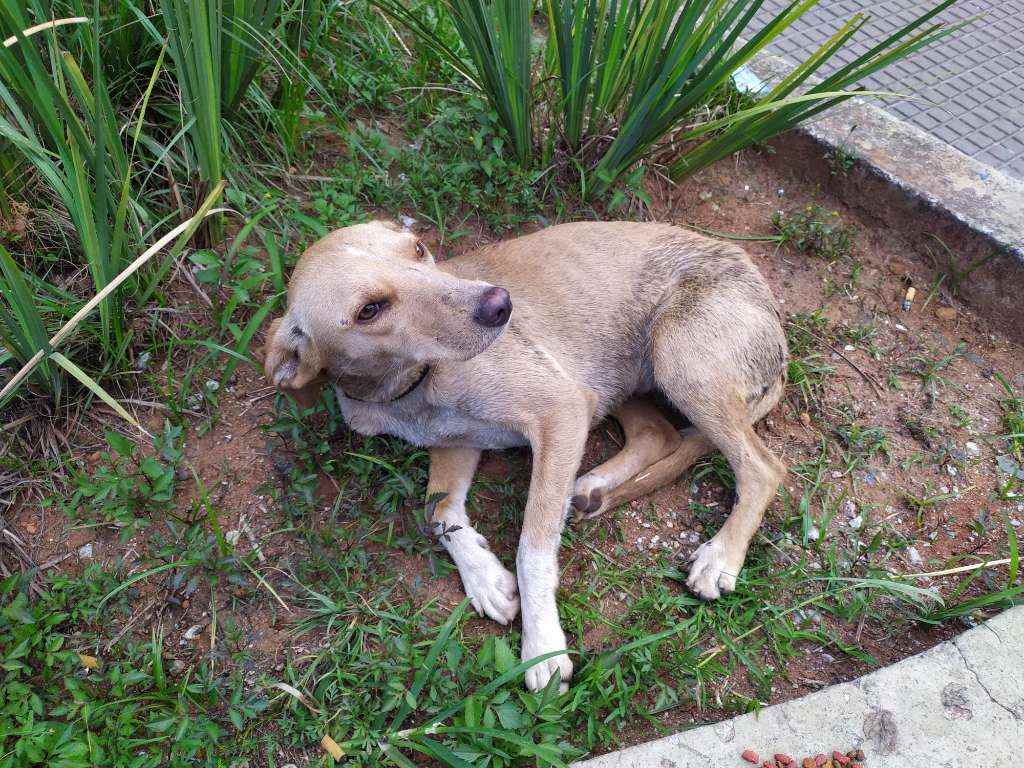 Sem mome  encontrada | foto 5