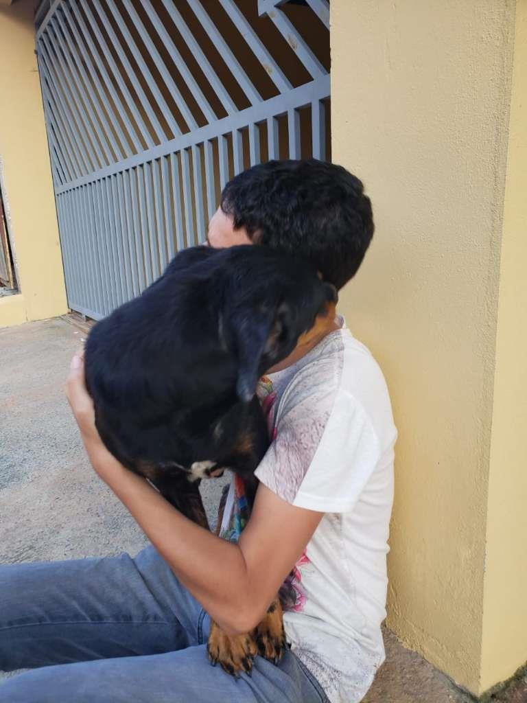 Pipoco  para adoção | foto 22