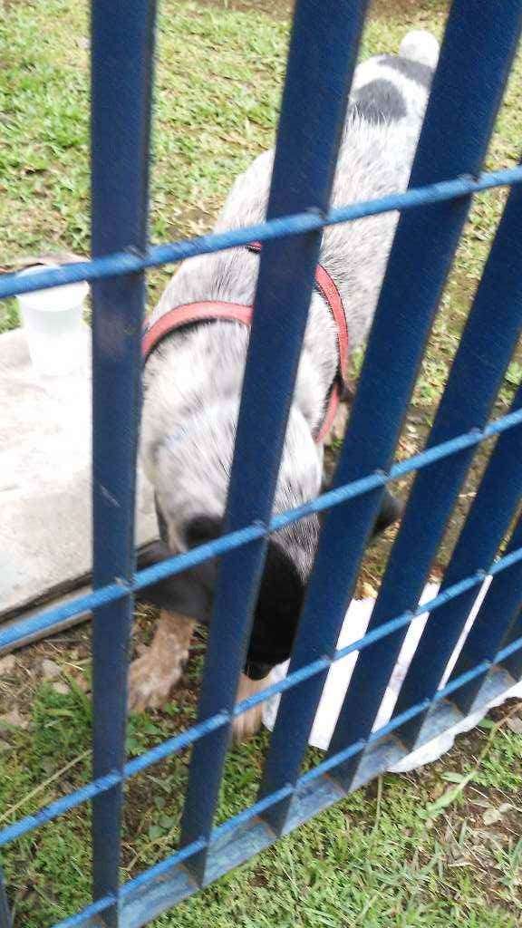 Nao sei  encontrado | foto 4