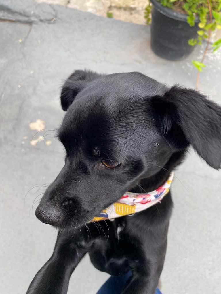 Não tem   encontrada | foto 3