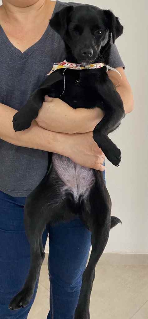 Não tem   encontrada | foto 4
