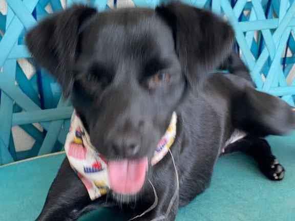Não tem   encontrada | foto 1