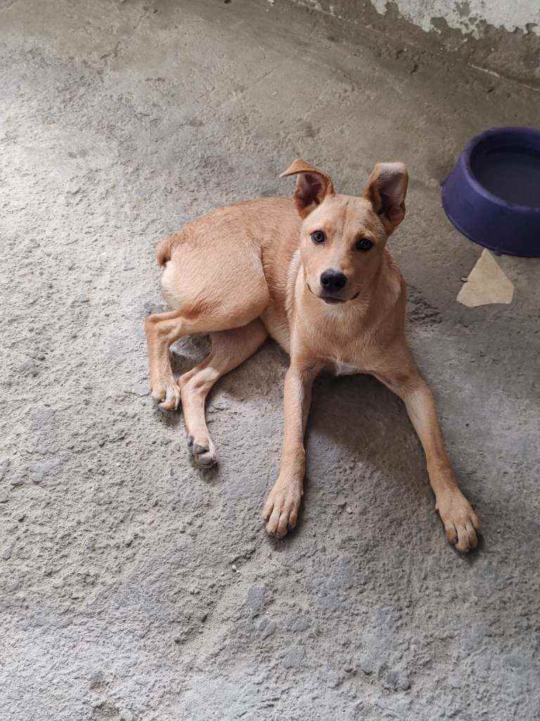 Não tem   encontrada | foto 2