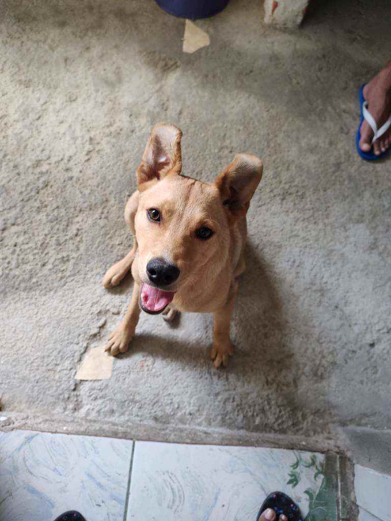 Não tem   encontrada | foto 3