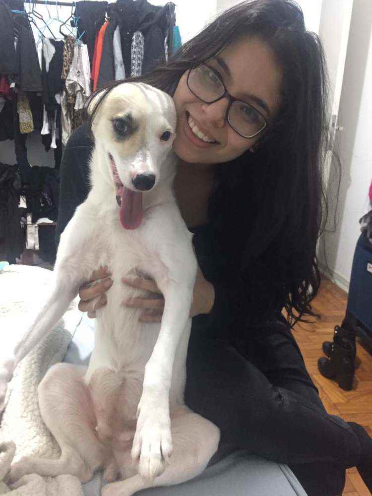 Procura-se esse Cachorro São Paulo/SP | Belinha | 4 anos | Raça SRD | tamanho Médio | foto 3