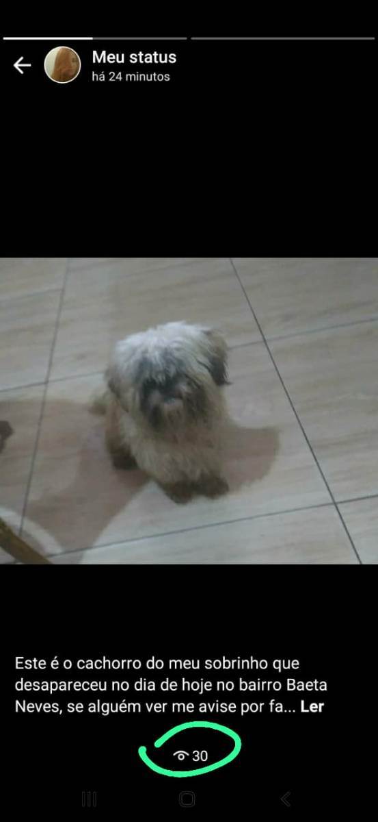 Theo  perdido | foto 2