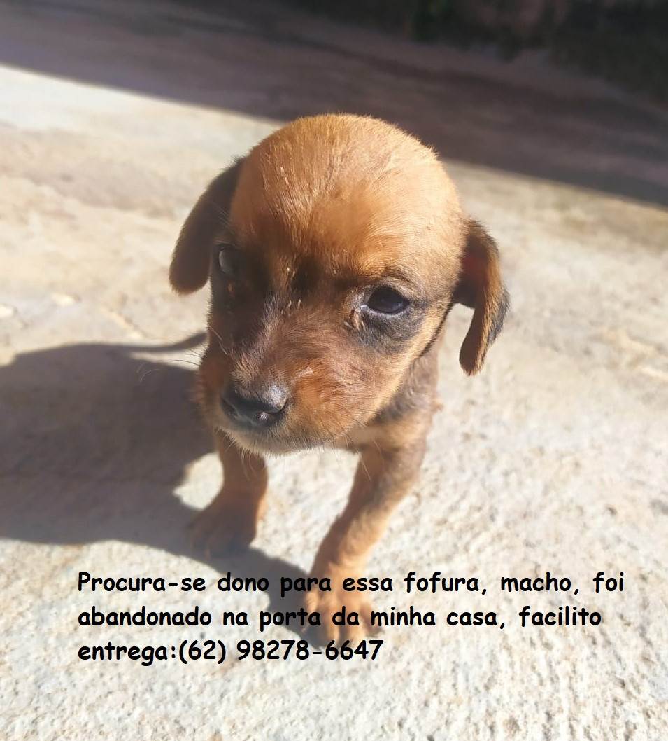 Sem nome  encontrado | foto 4