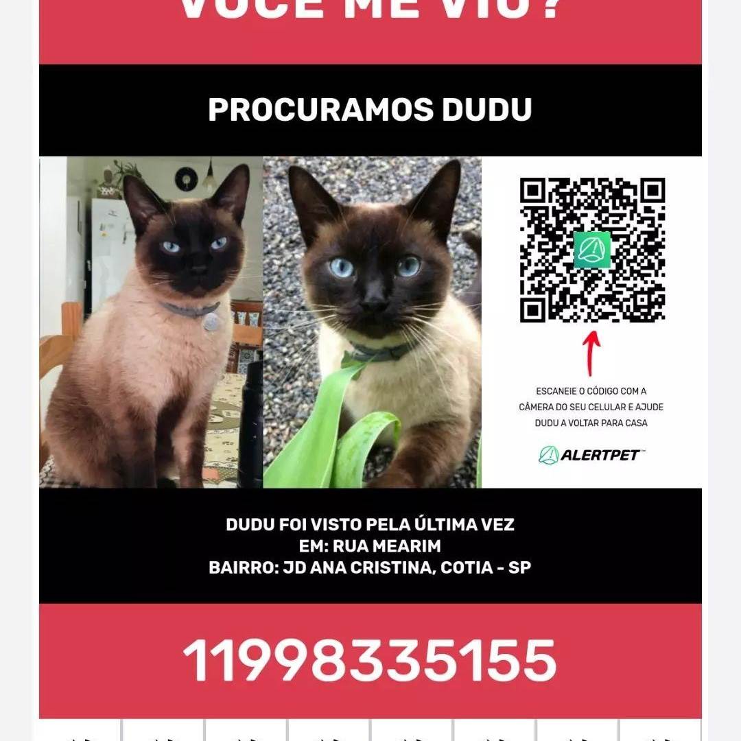 Dudu  perdido | foto 2