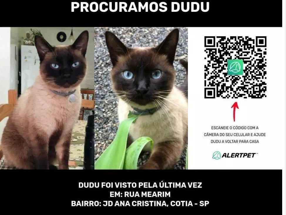 Dudu  perdido | foto 1