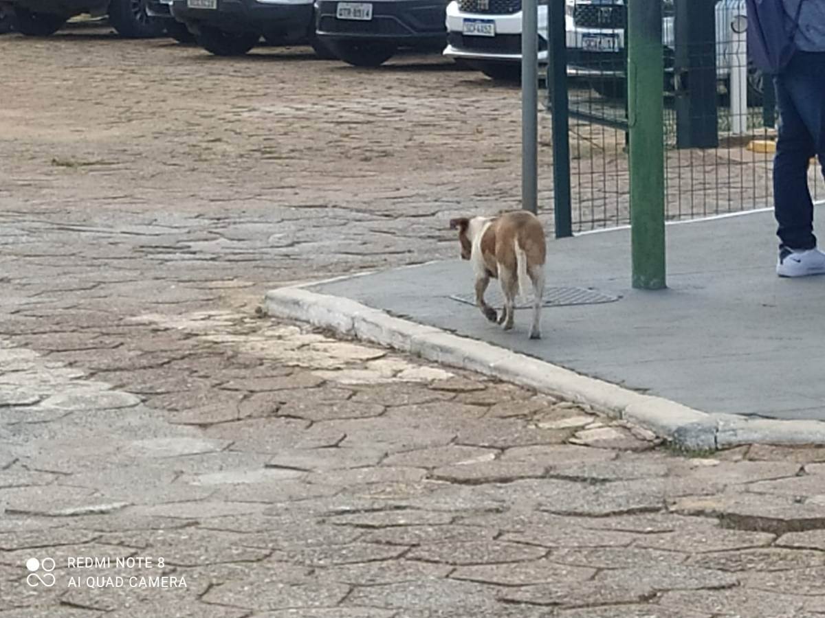 não sei   encontrado | foto 3