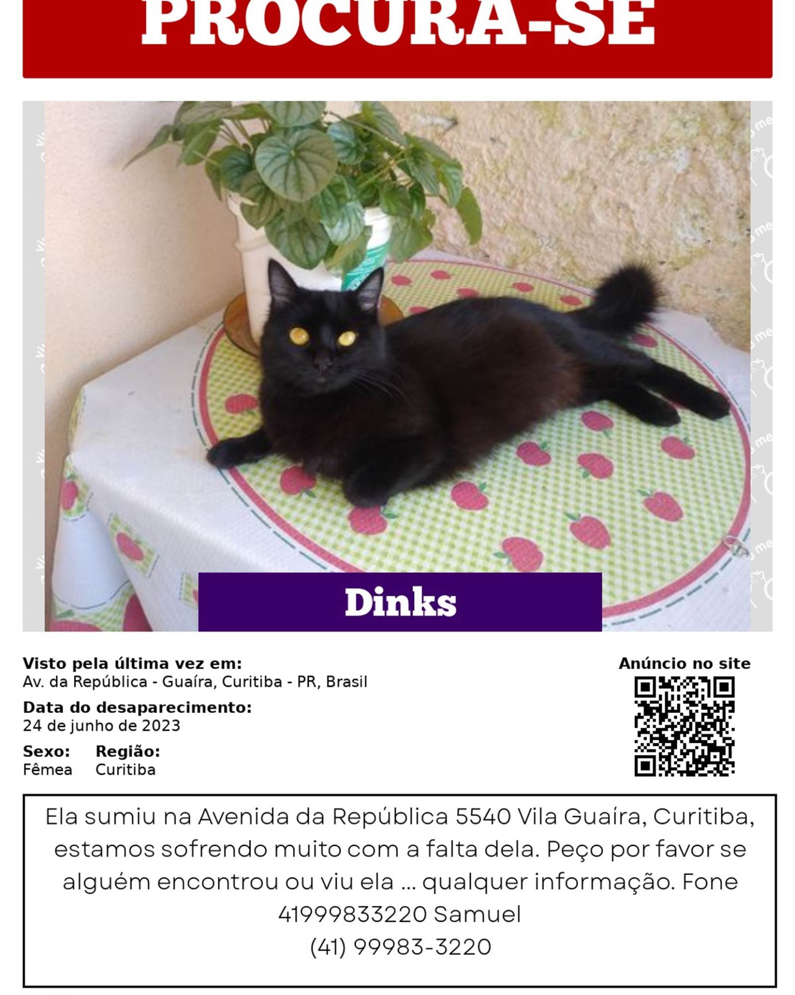 GRATIFICA - Dinks  perdida | foto 2