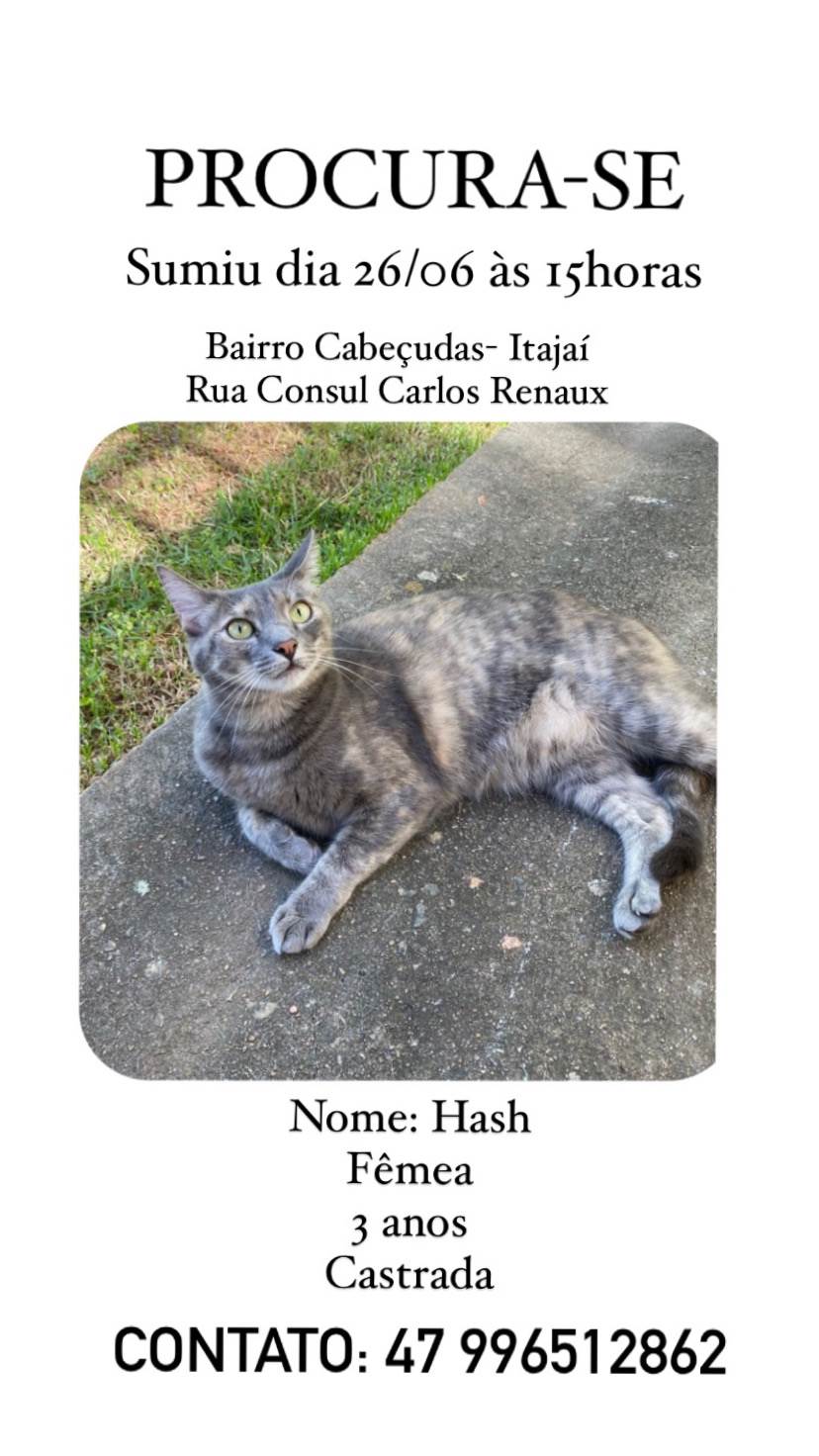HASH  perdida | foto 2