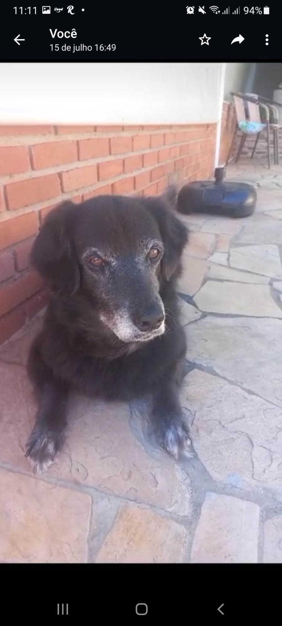Thor  perdido | foto 2