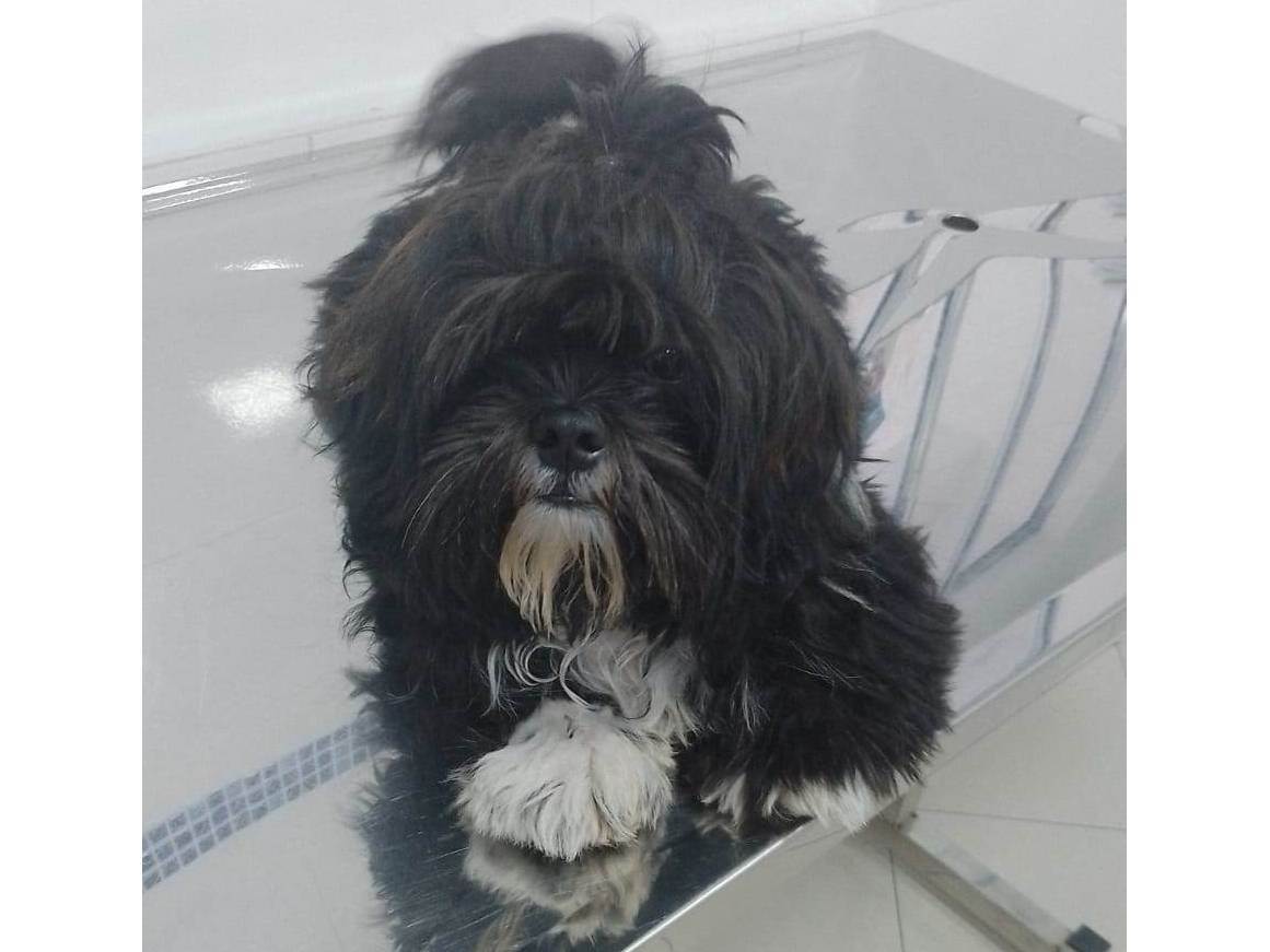 GRATIFICA - BOBY  perdido | foto 4