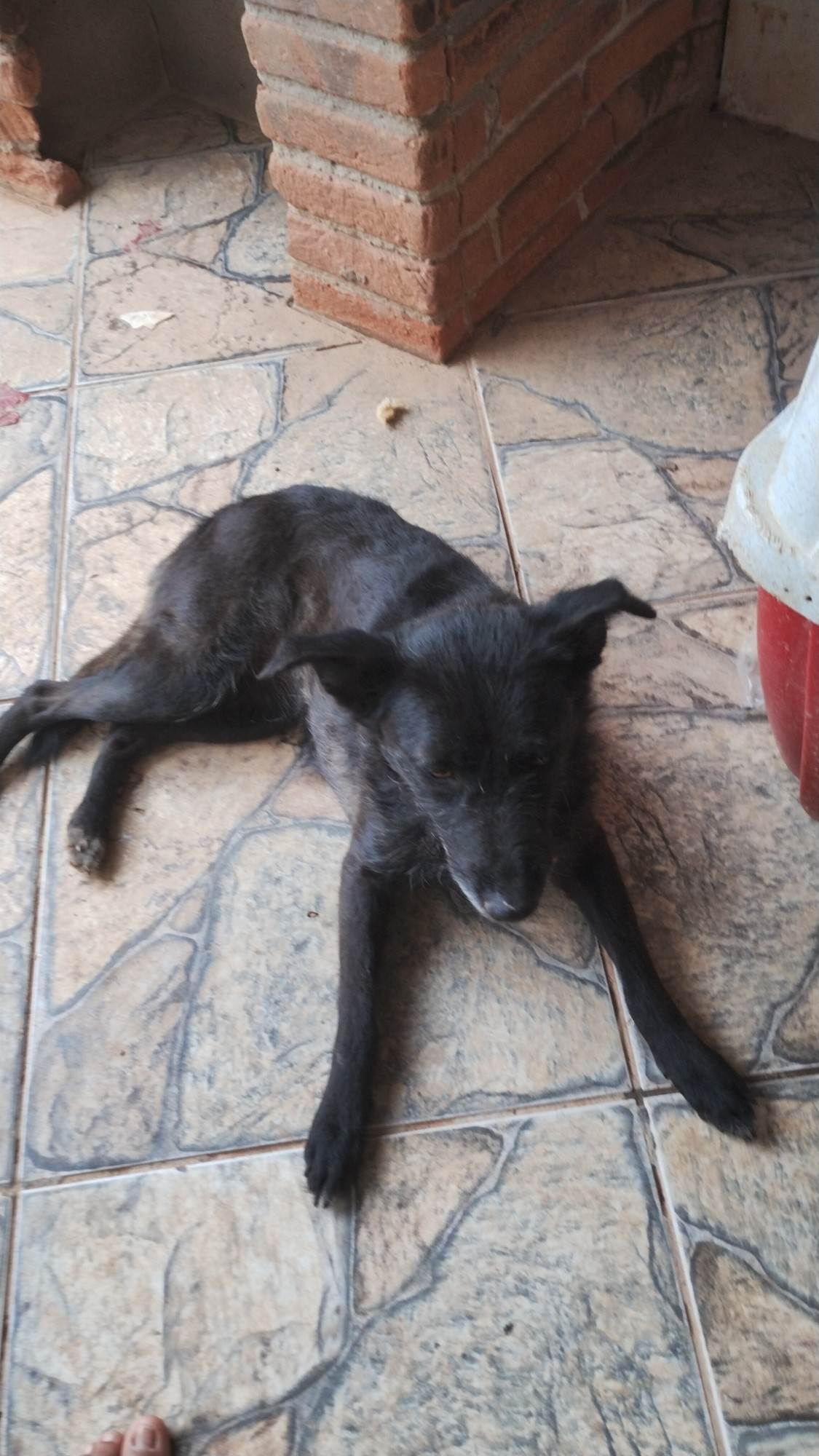 Vivi  encontrada | foto 3