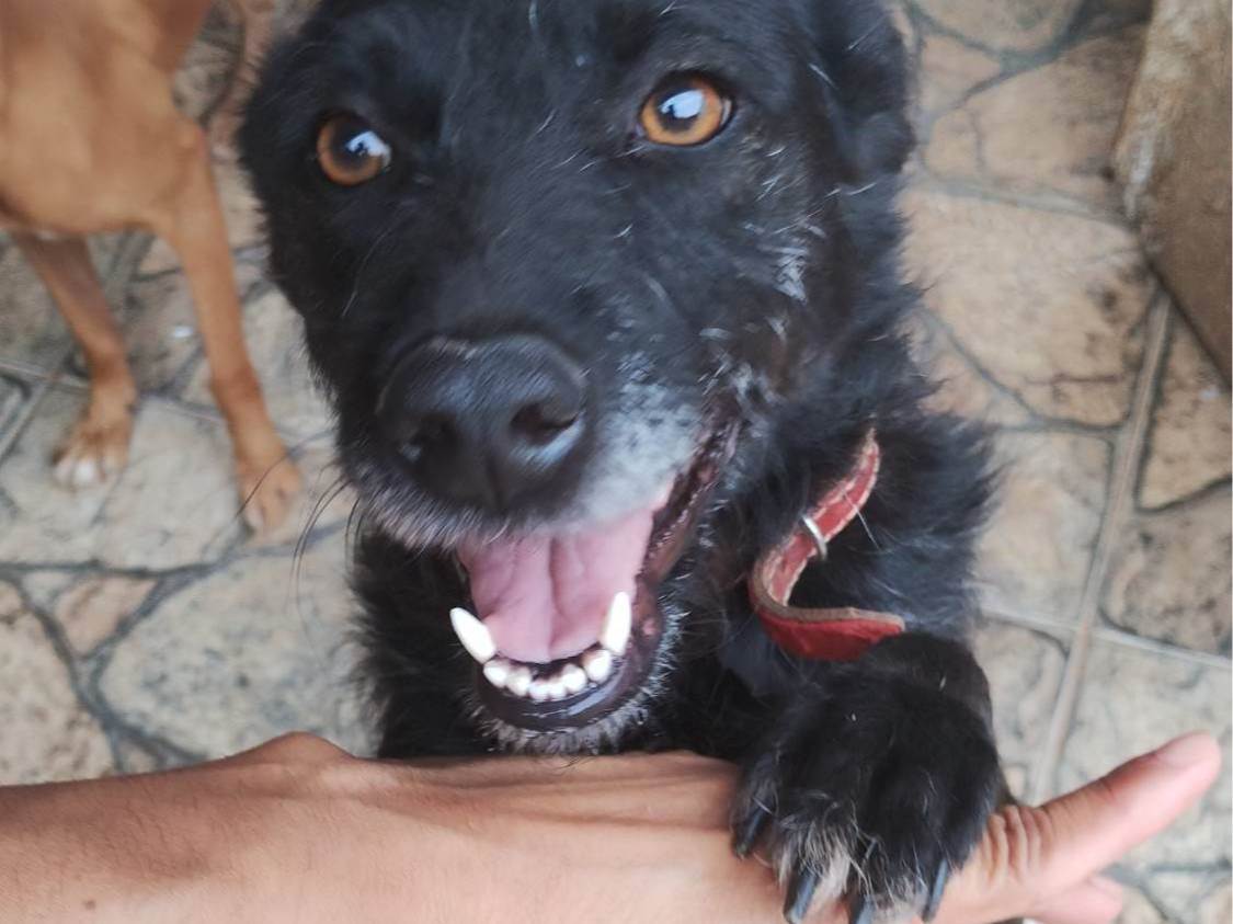 Vivi  encontrada | foto 1