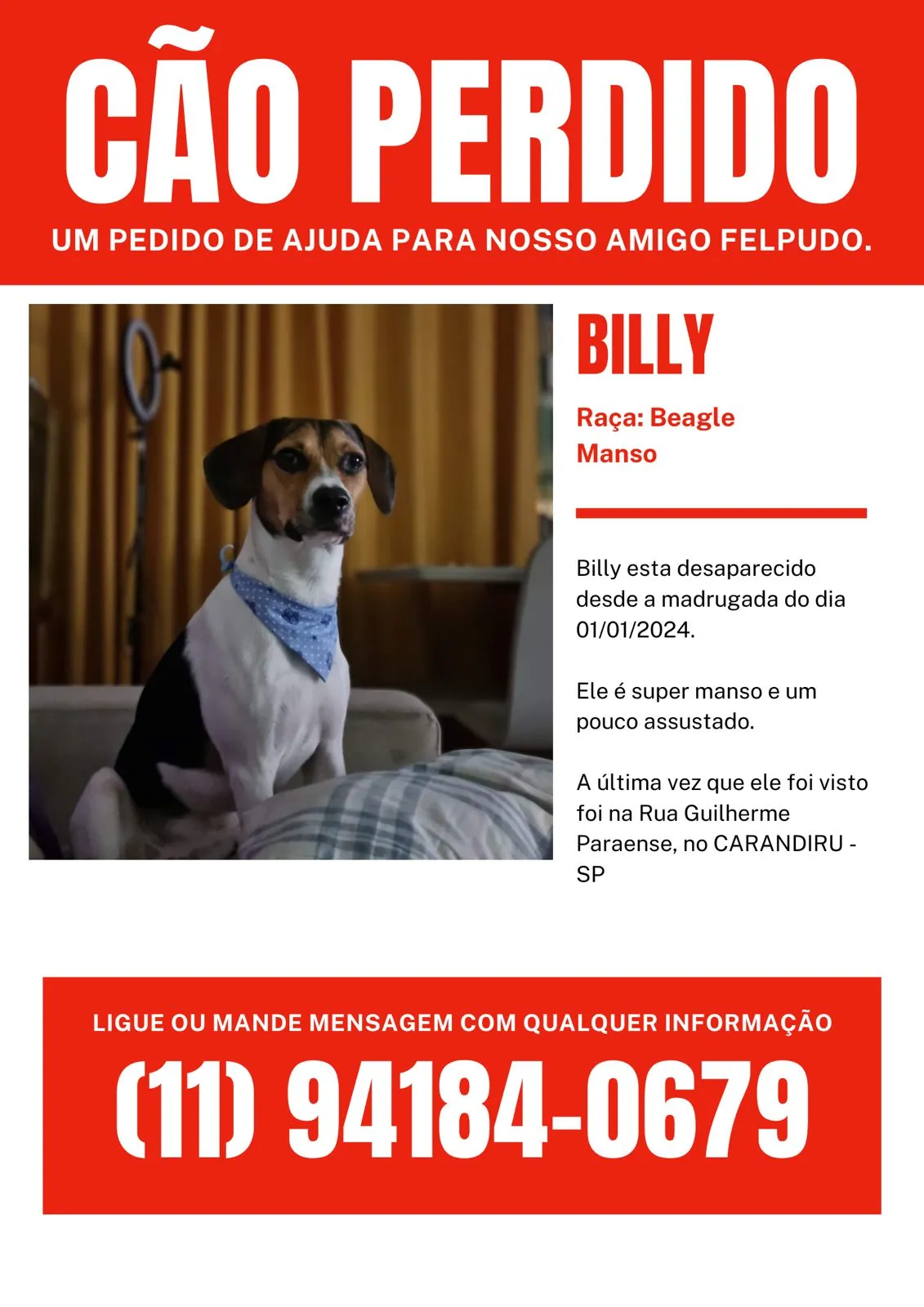 Procura-se esse Cachorro São Paulo/SP | GRATIFICA - Billy | 2 anos | Raça Beagle | tamanho Pequeno | foto 2
