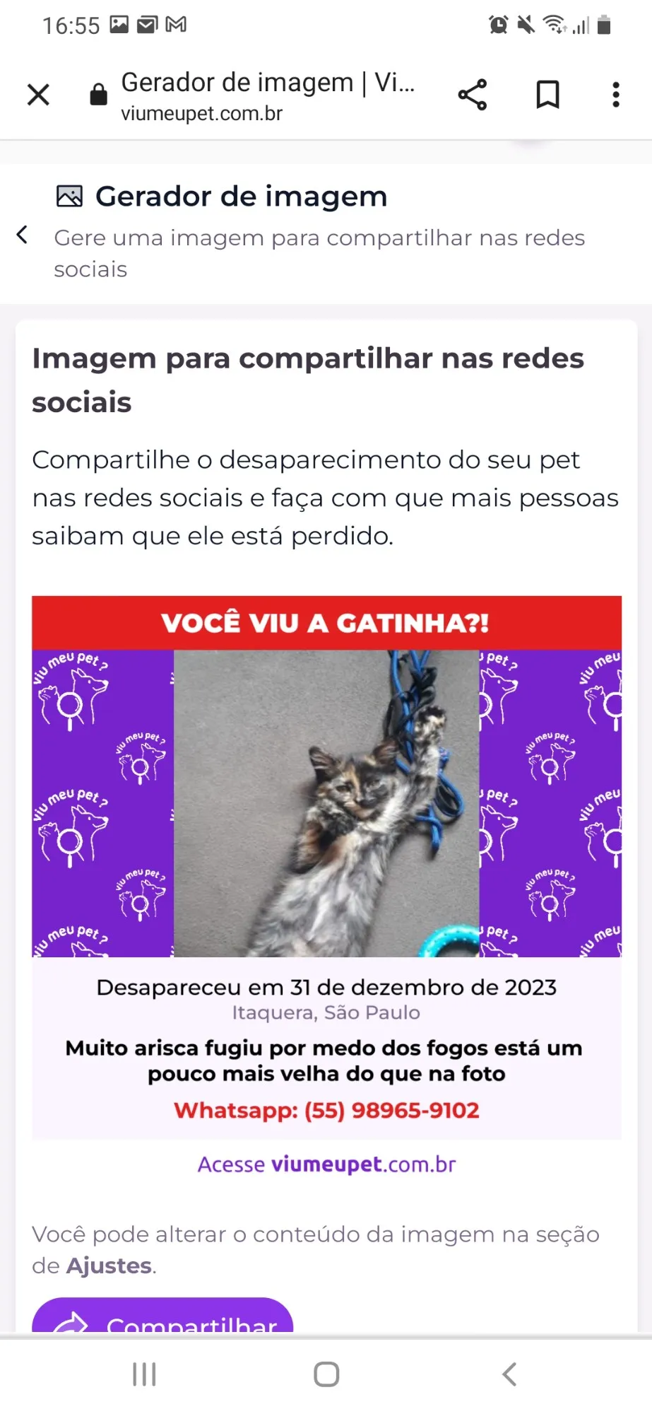 Procura-se esse Gato São Paulo/SP | Gatinha | 2 anos | Raça SRD-ViraLata | tamanho Pequeno | foto 2