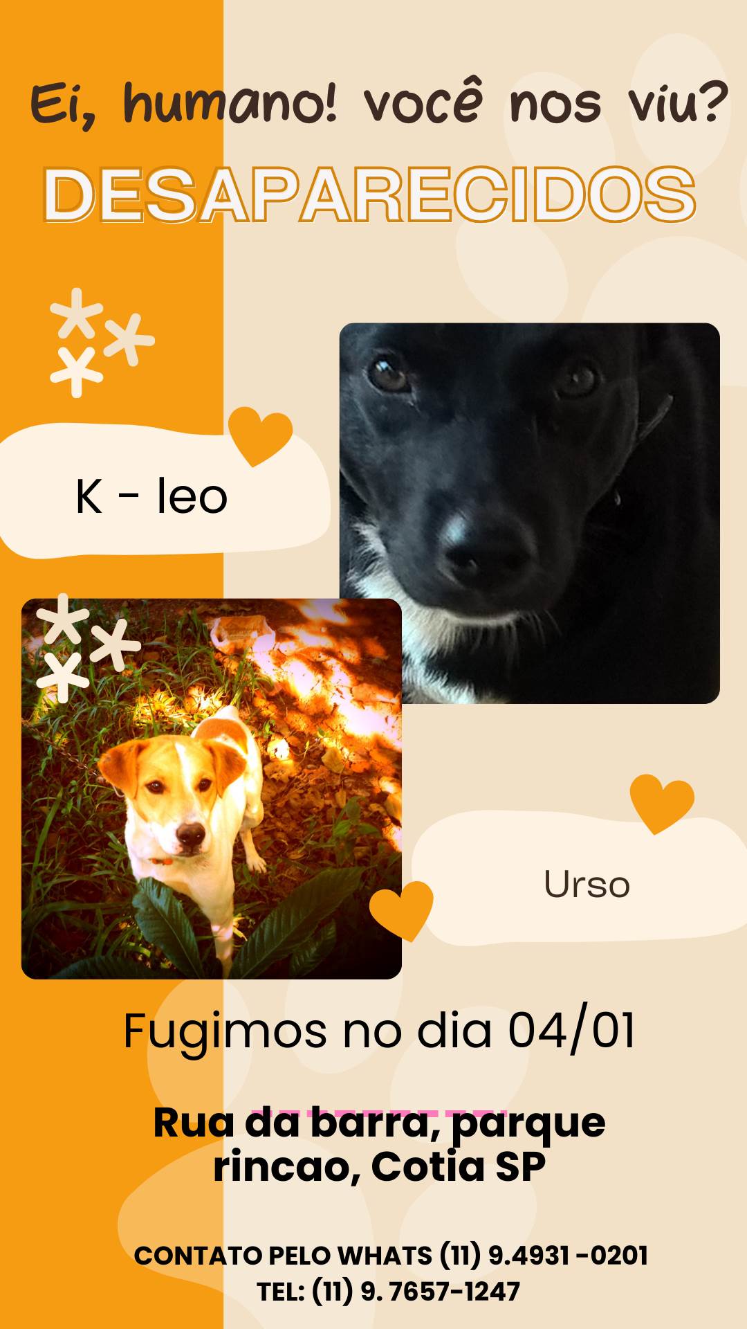 urso e k-leo  perdido | foto 2