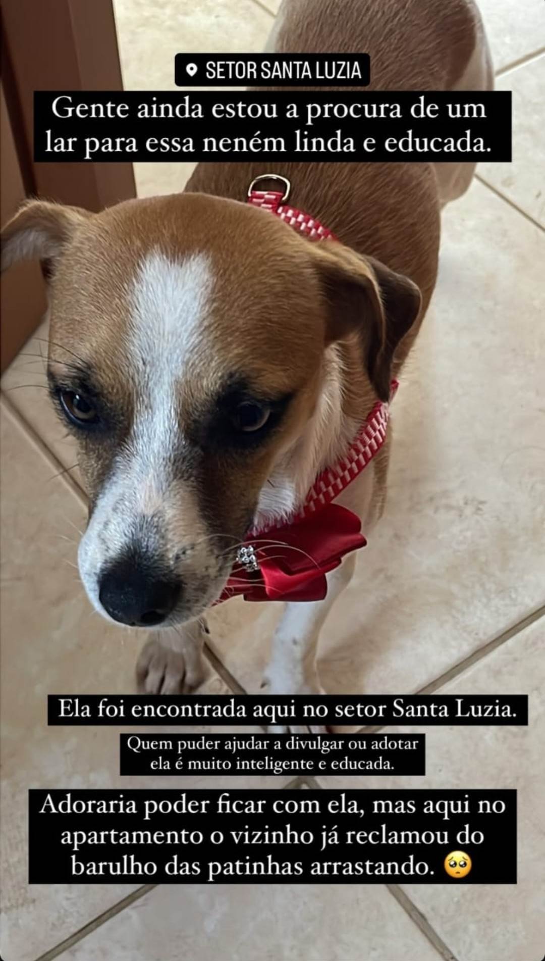 Desconhecido  encontrada | foto 2