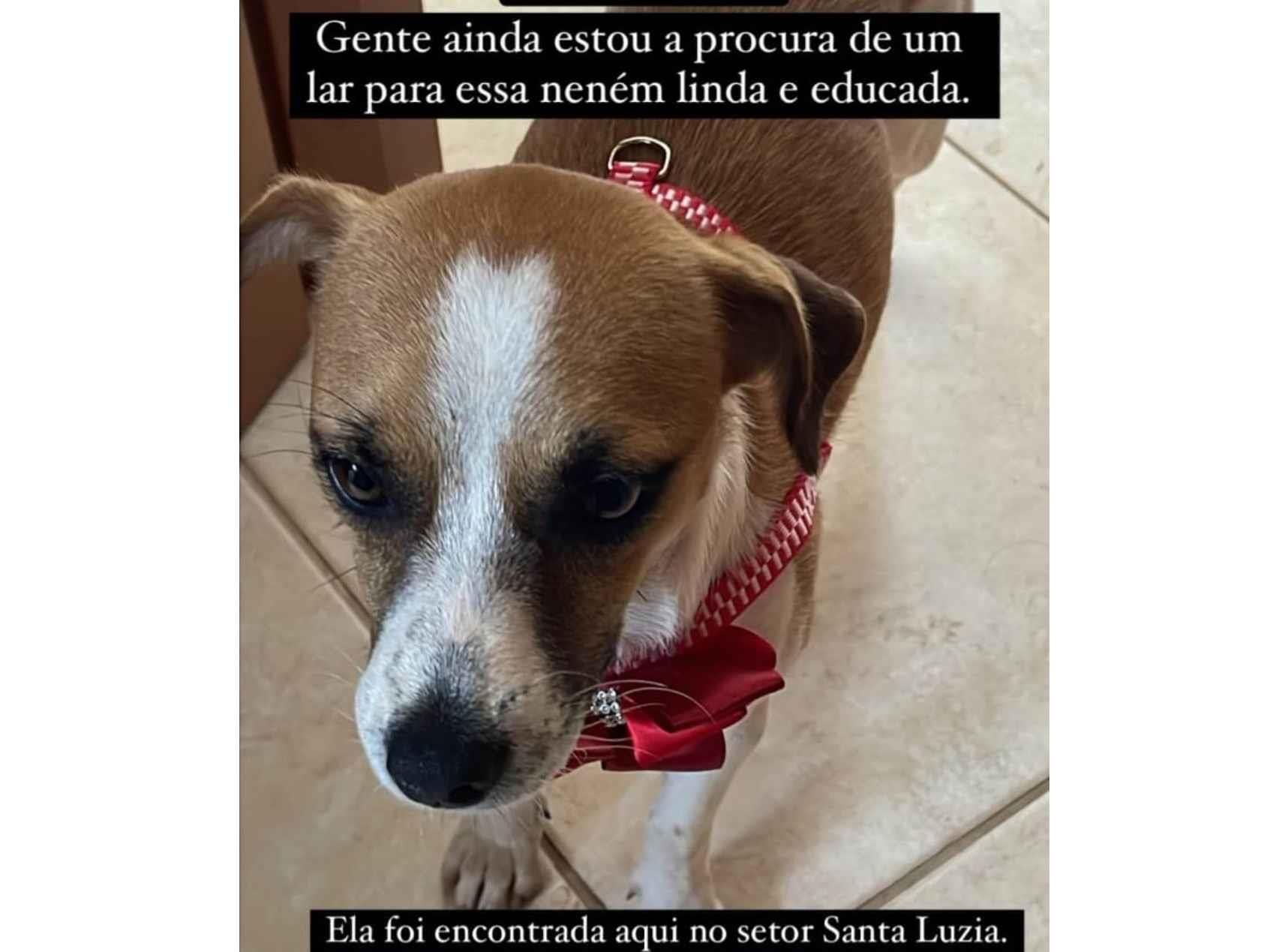 Desconhecido  encontrada | foto 1