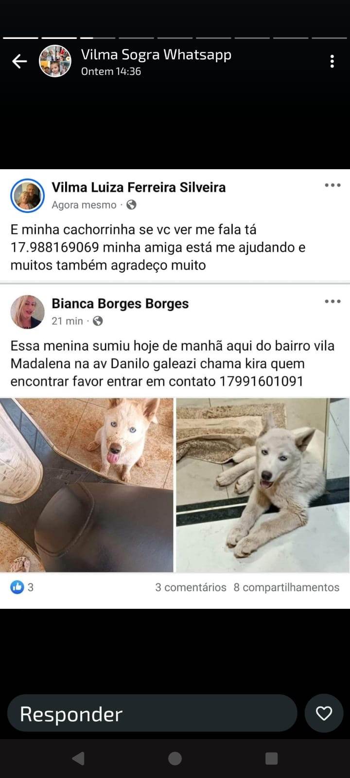 KYRA  perdida | foto 2