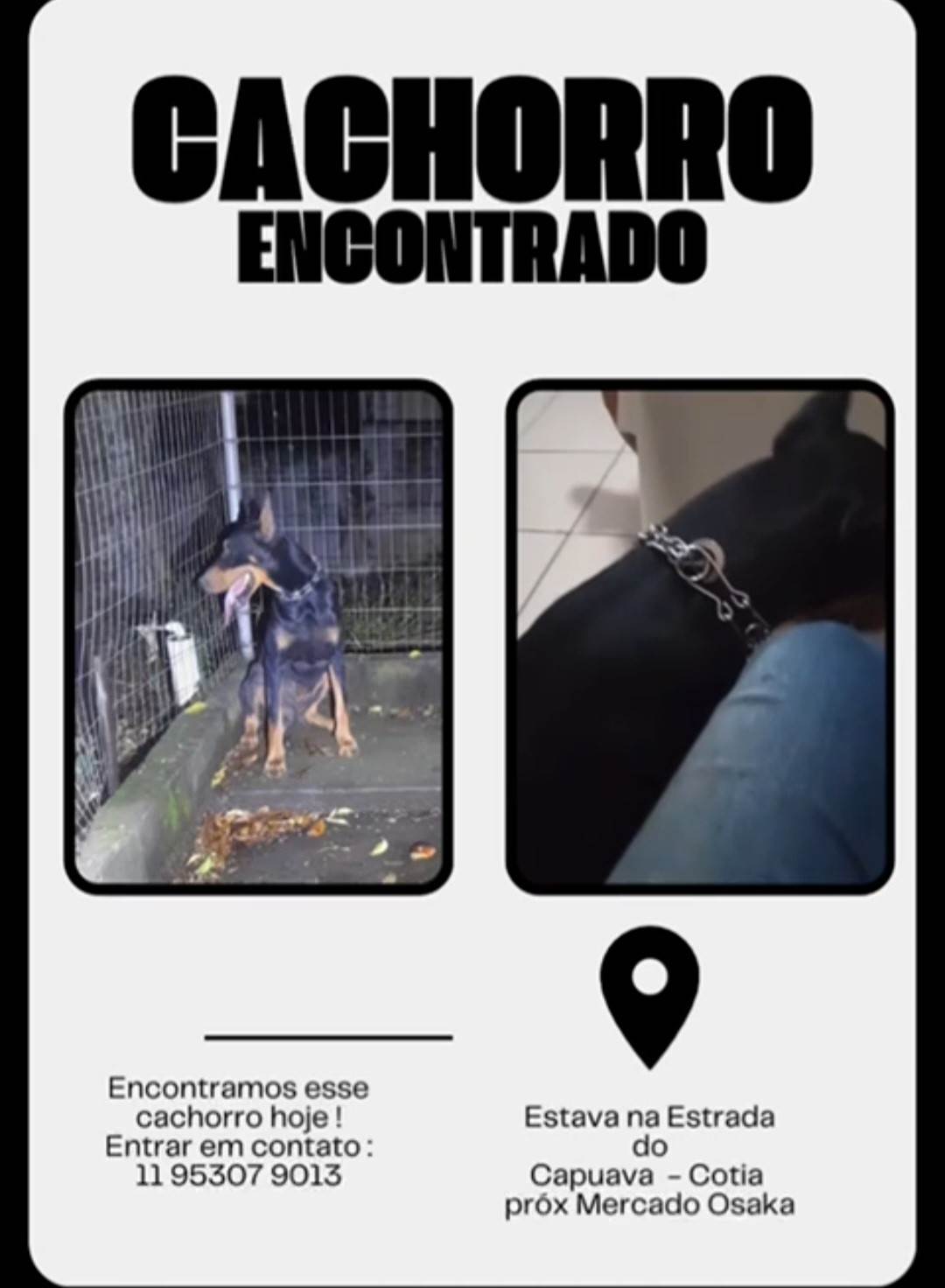 Não sei  encontrado | foto 2