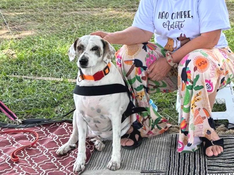 Branca  para adoção | foto 4