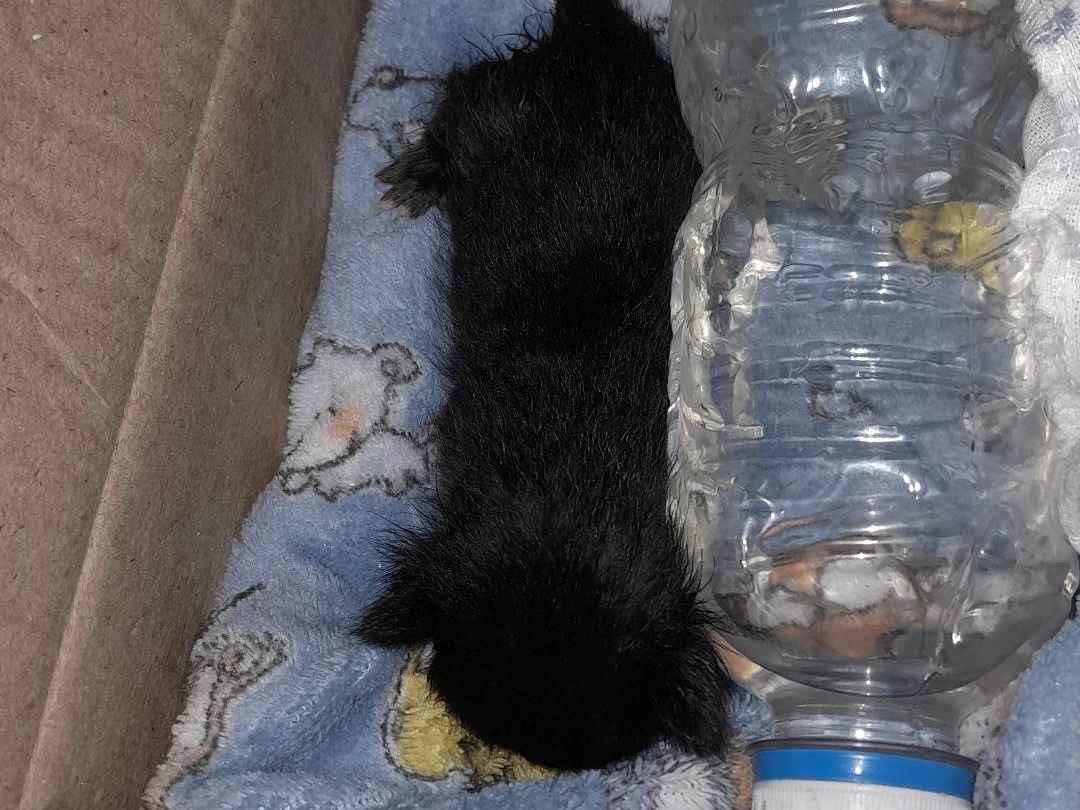 não tem   encontrada | foto 1