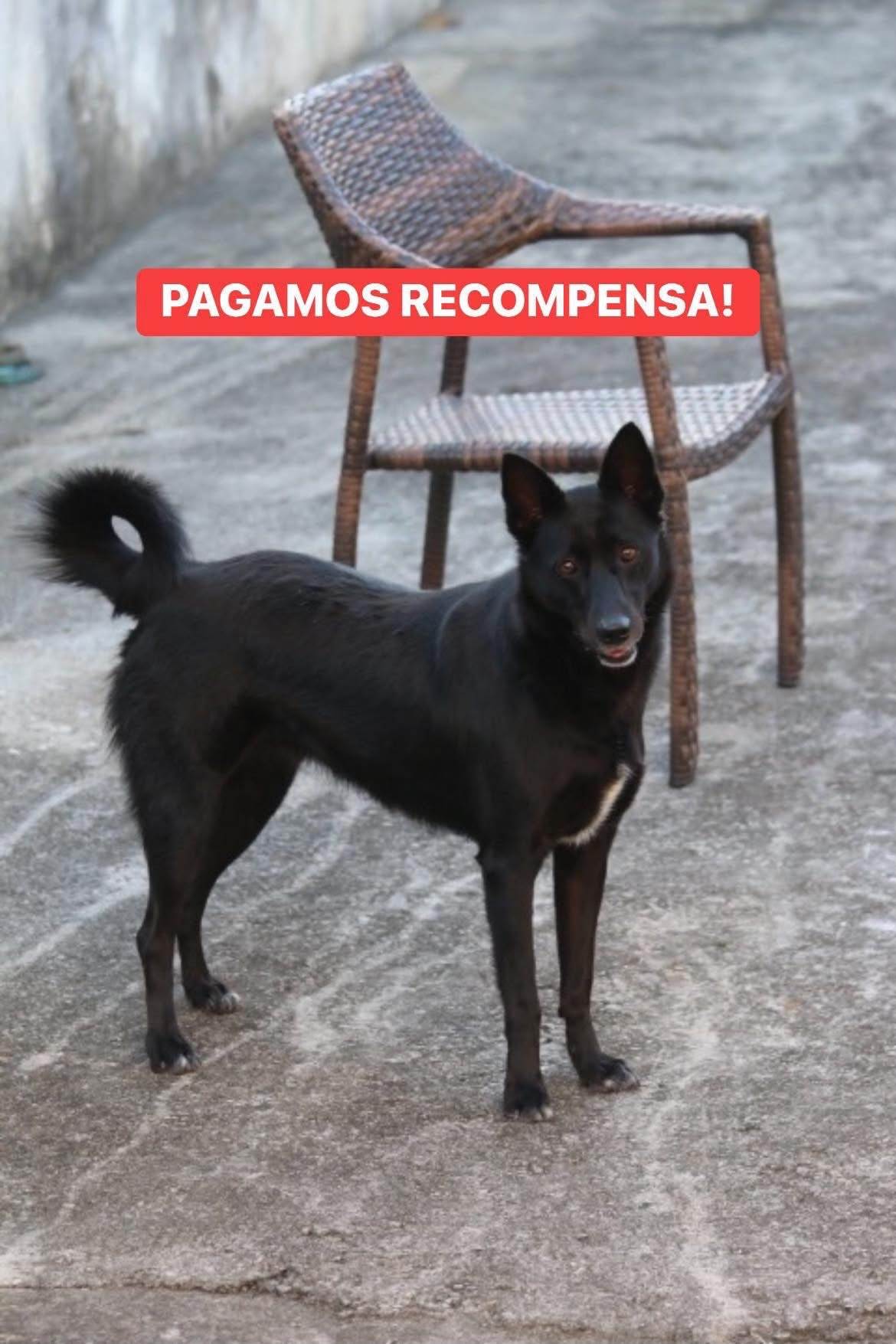 Zoe  perdida | foto 4