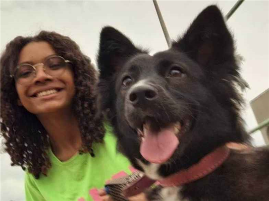 Cachorro cão para adoção Fêmea Médio  2 anos 