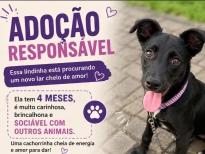 Cao SRD-ViraLata Medio 2-a-6-meses