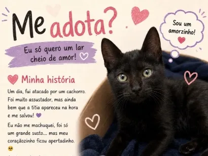 Gato SRD-ViraLata Pequeno 2-a-6-meses