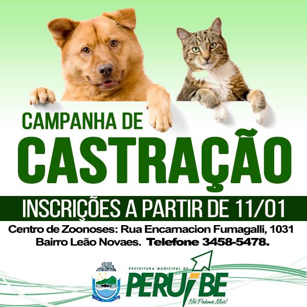Feira e evento de adoção de cachorros e gatos em Peruíbe - São Paulo