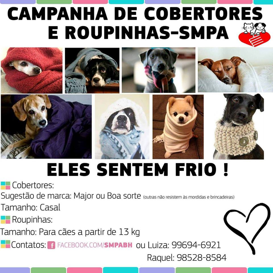 Feira e evento de adoção de cachorros e gatos - Amor e Aconchego: Campanha de Adoção e Doação de Cobertores em BH! em Minas Gerais - Belo Horizonte